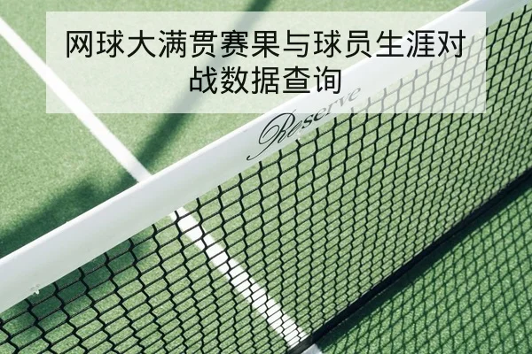 网球大满贯赛果与球员生涯对战数据查询