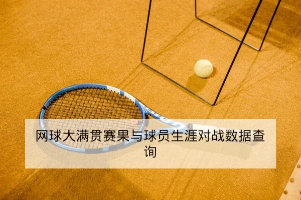 网球大满贯赛果与球员生涯对战数据查询