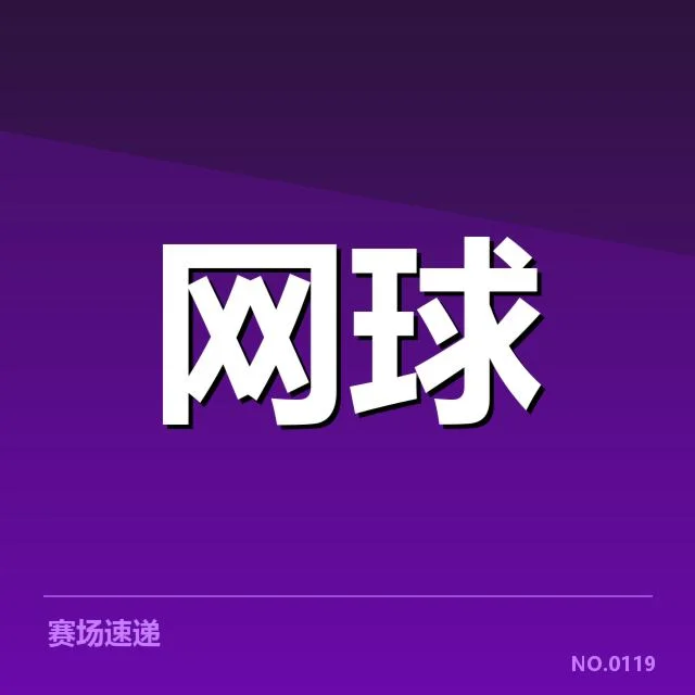 已确认的技术特点与比赛表现